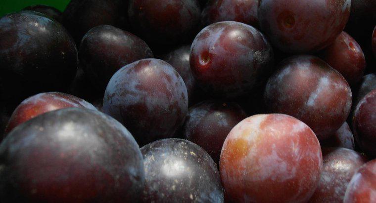 Est-il correct de congeler des prunes ?