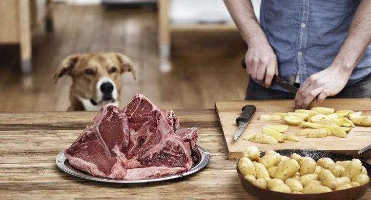 Les chiens peuvent-ils manger des os de steak ?