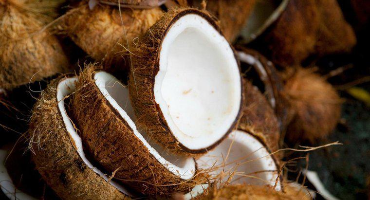 Combien de calories contient une noix de coco ?