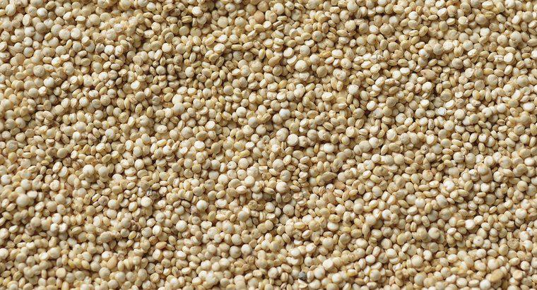 Quelle est la teneur en acides aminés du quinoa ?