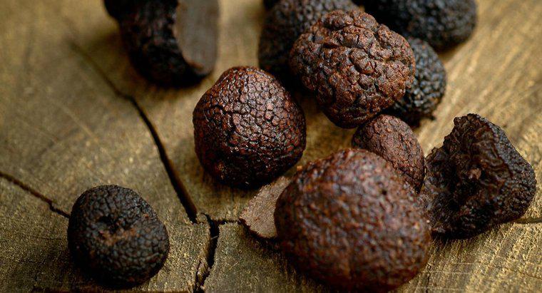 Quel est le goût d'une truffe noire ?