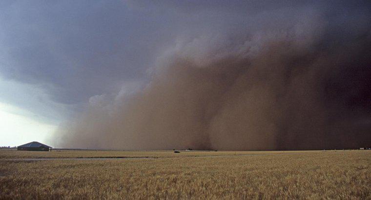 Combien de personnes sont mortes dans le Dust Bowl ?