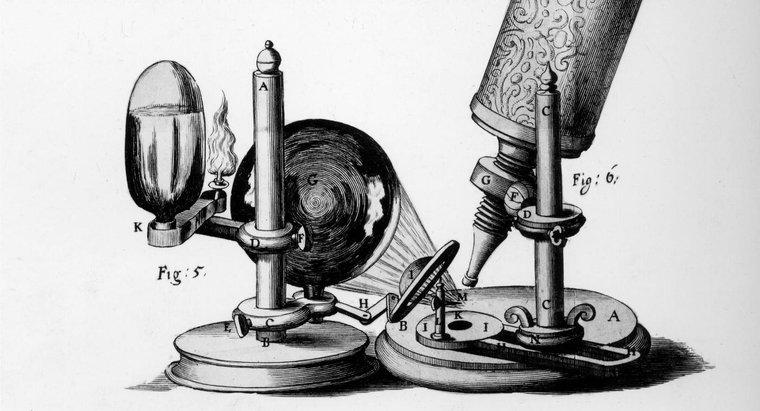 Quelle a été la contribution de Robert Hooke ?
