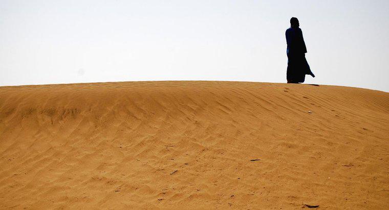 Quelle chaleur peut-il faire dans le désert du Sahara pendant l'été ?