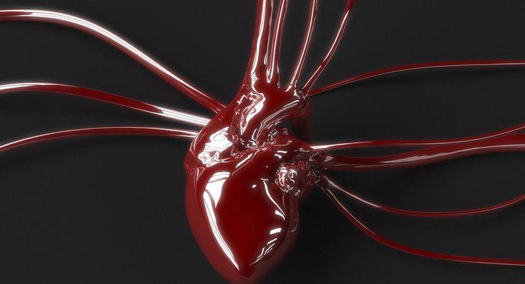 Quelle est la différence entre le sang artériel et veineux?