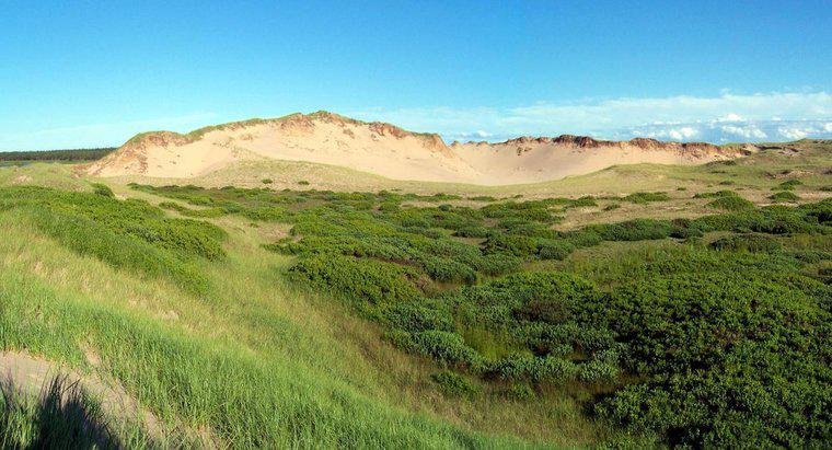 Comment se forment les dunes paraboliques ?