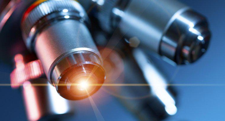 A quoi sert un microscope optique ?