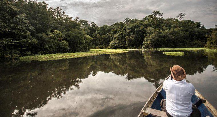 Quelle est la profondeur du fleuve Amazone ?