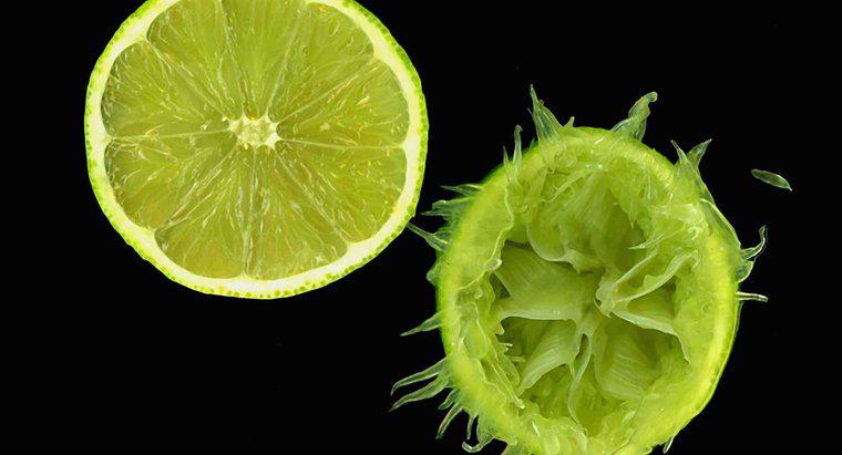 Quelle quantité d'acide citrique contient un citron vert ?