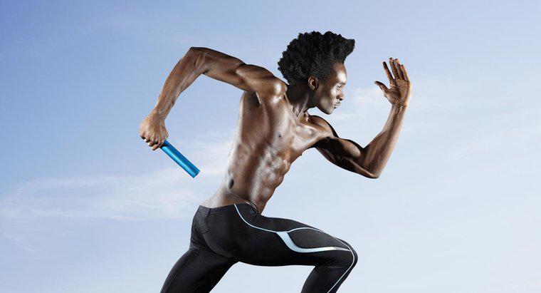 Quels muscles sont utilisés en sprint ?