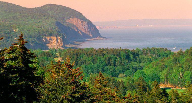 Où se trouve le parc national de la baie de Fundy?