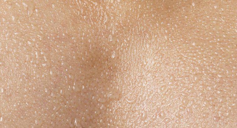Qu'est-ce que la peau excrète?