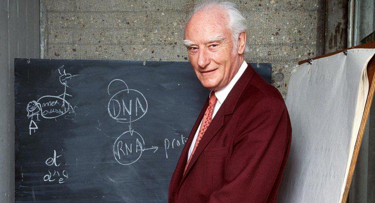 Francis Crick a-t-il utilisé du LSD ?