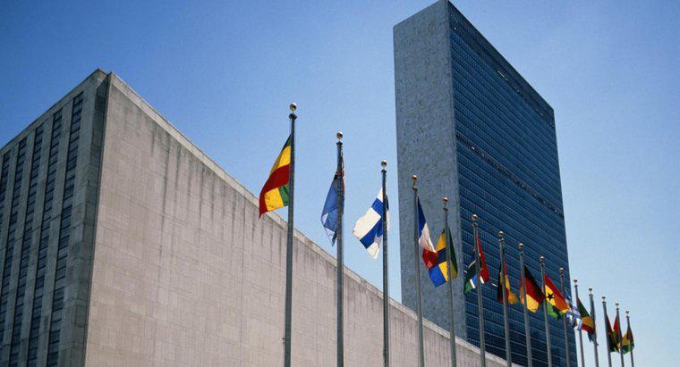 Pourquoi les Nations Unies ont-elles été créées ?
