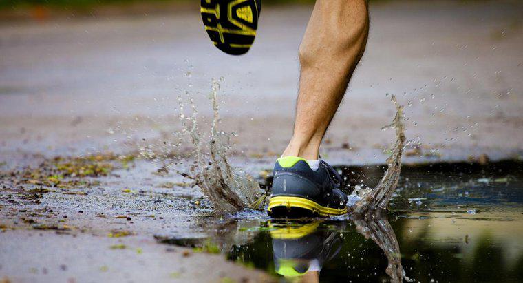 Quelle est la vitesse moyenne de jogging d'un humain ?
