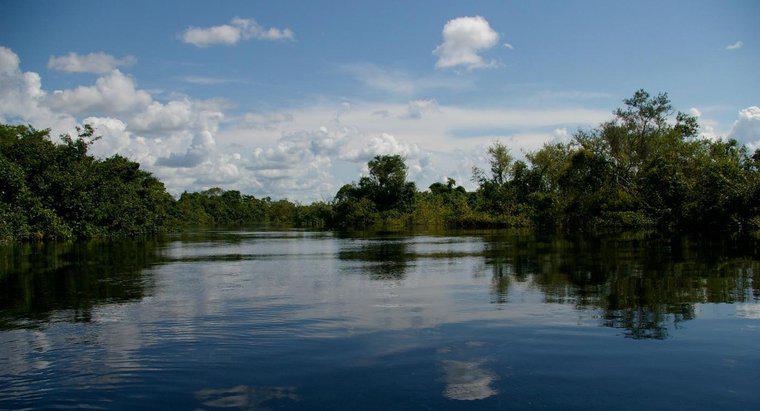 Quelles sont les utilisations du fleuve Amazone ?
