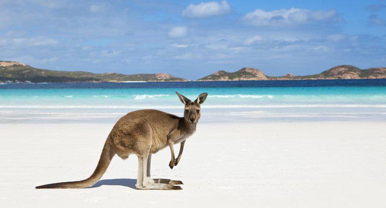 Quels sont les deux océans qui touchent l'Australie ?