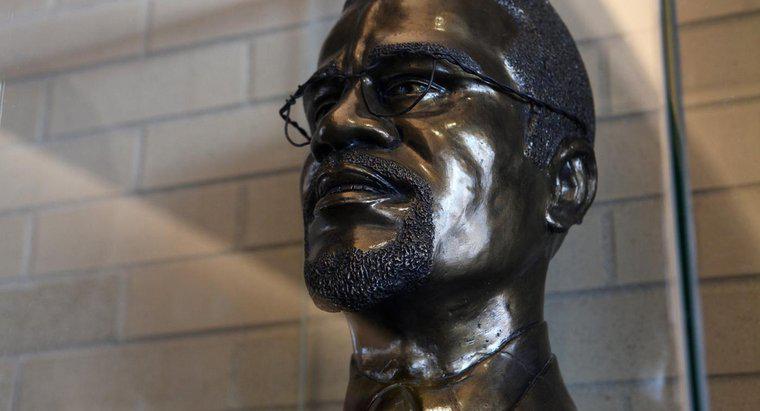 Pourquoi Malcolm X est-il célèbre ?