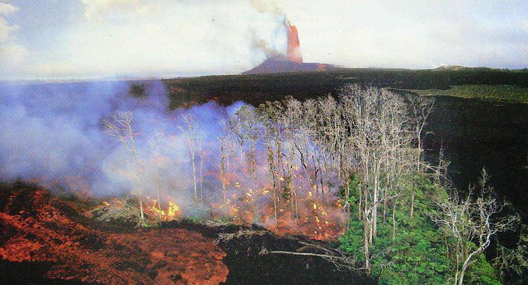 Combien de personnes sont mortes lors de l'éruption du Kilauea ?
