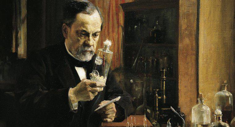 Louis Pasteur avait-il des frères ou des sœurs ?