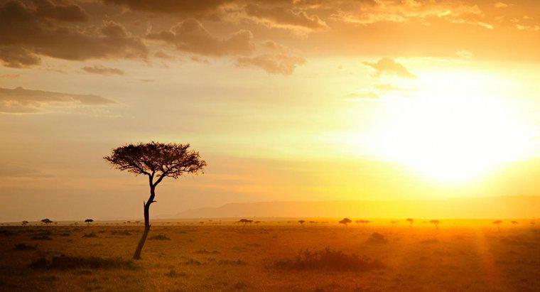 Quel est le climat en Afrique ?