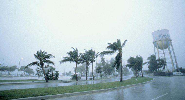 Quelles sont les principales parties d'un ouragan?