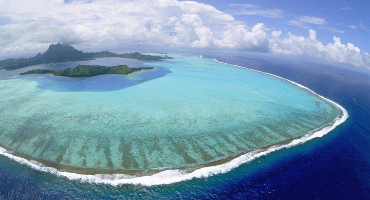 Comment s'appelle une île de corail en forme d'anneau ?