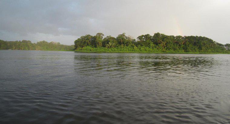 Pourquoi le fleuve Amazone est-il important ?