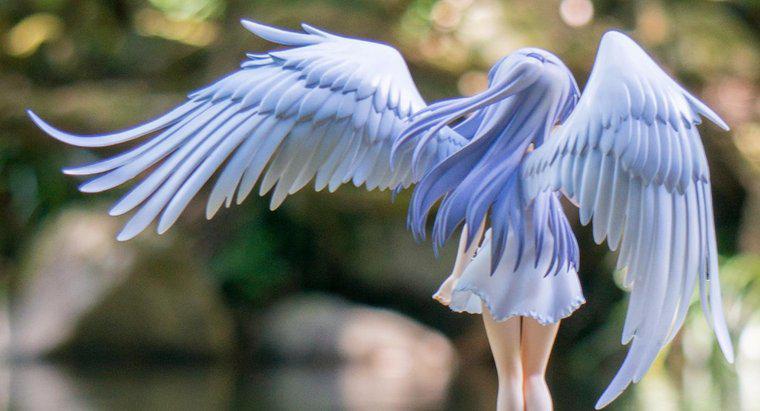 Que symbolisent les ailes d'ange ?