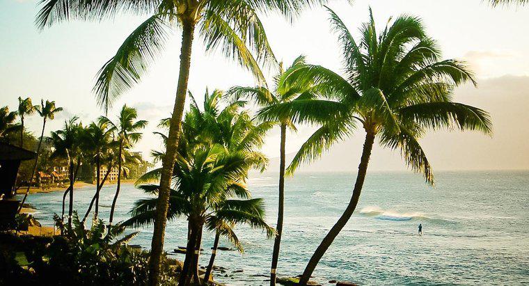 Quels sont les faits amusants sur Hawaï ?