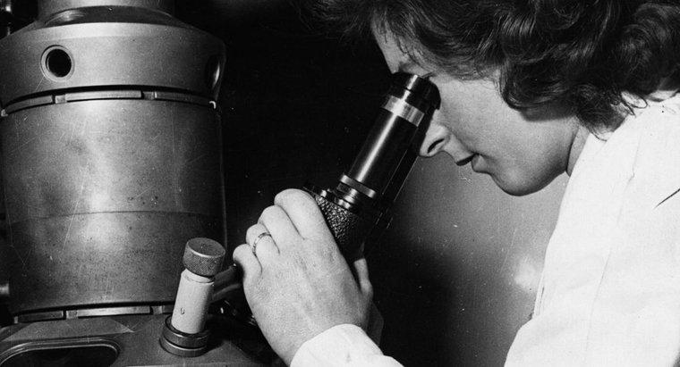 Qui a inventé le microscope électronique ?