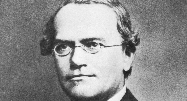 Pourquoi Gregor Mendel est-il appelé le père de la génétique ?