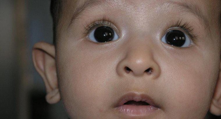 Les yeux poussent-ils après la naissance ?