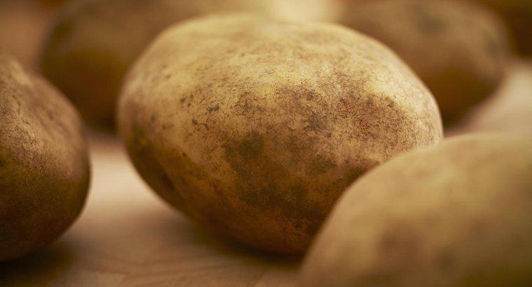 Est-il sécuritaire de manger des pommes de terre crues ?