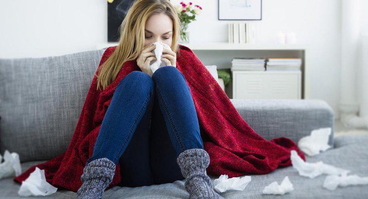 Quels sont les symptômes du virus de la grippe ?