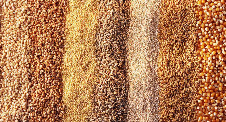 Quelle est la différence entre l'orge et le blé?