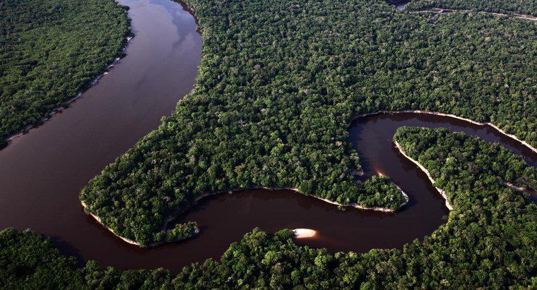 Quelle est la largeur du fleuve Amazone ?