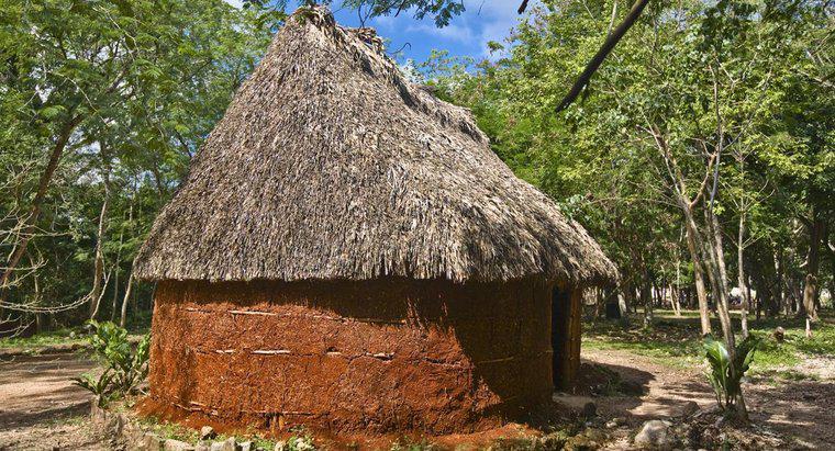 Comment les Mayas ont-ils construit leur abri ?