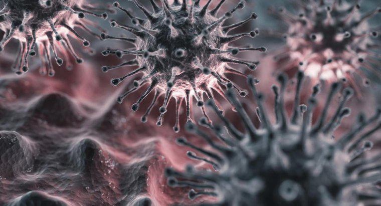 Quelle est la période d'incubation du virus de la grippe ?