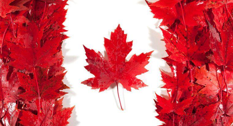 Pourquoi le Canada est-il célèbre?