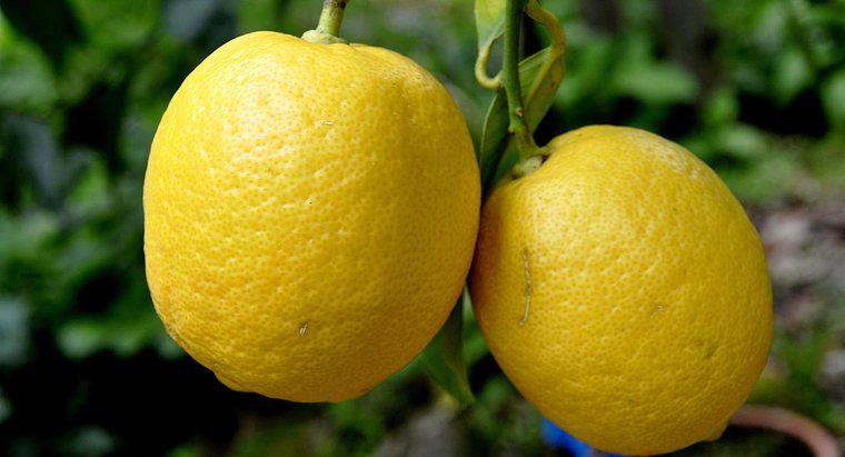 Combien pèse un citron ?