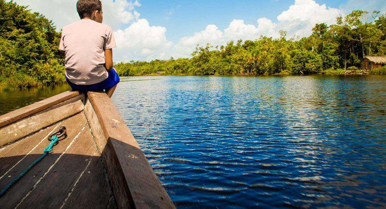 Quelle est la rivière qui coule le plus vite au monde ?