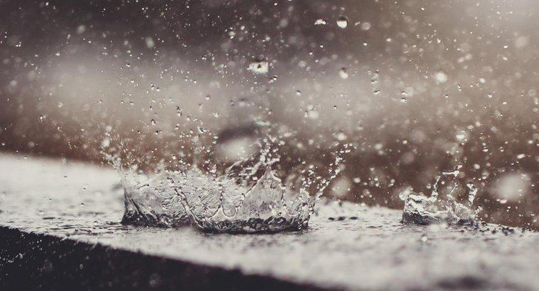 Où pouvez-vous trouver les totaux des précipitations quotidiennes locales ?