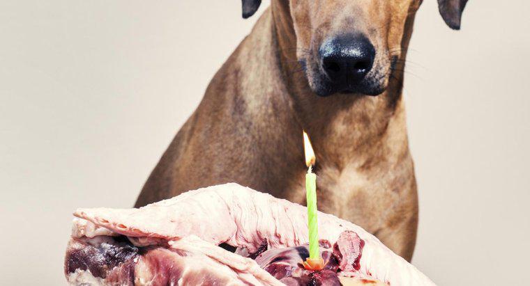 Les chiens peuvent-ils manger des os des côtes ?