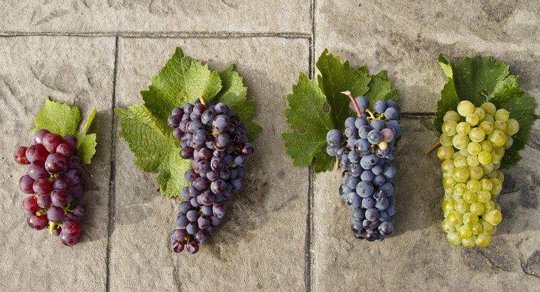 Les raisins verts sont-ils plus sains que les raisins rouges ?