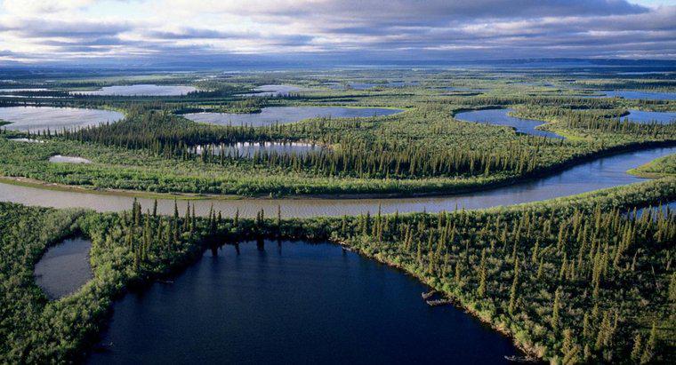 Quelle est la plus longue rivière du Canada?