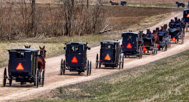 Les Amish ont-ils des numéros de sécurité sociale ?