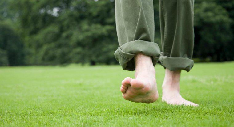 Comment savoir si vous avez des lésions nerveuses dans vos pieds ?