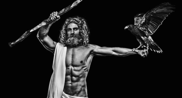 Quelle est la description physique de Zeus ?