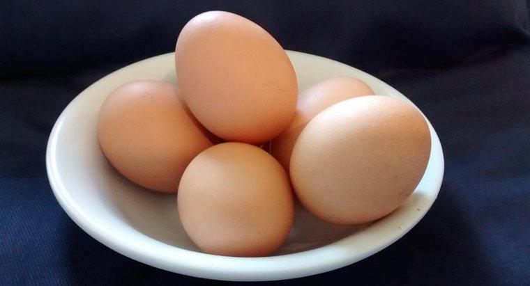 De quoi sont faits les œufs de poule ?